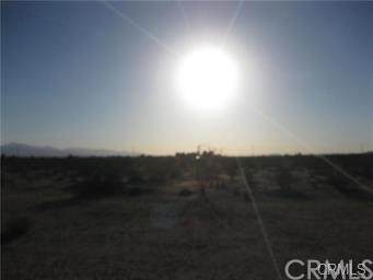 9301 Desert Flower - Photo 1