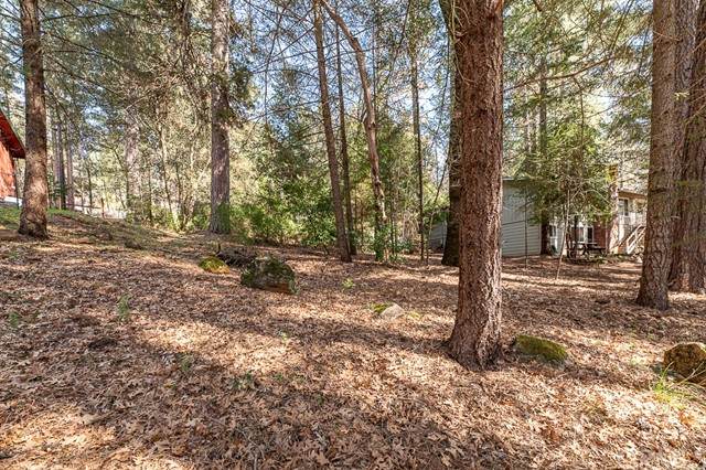 16151 Golf - Photo 1