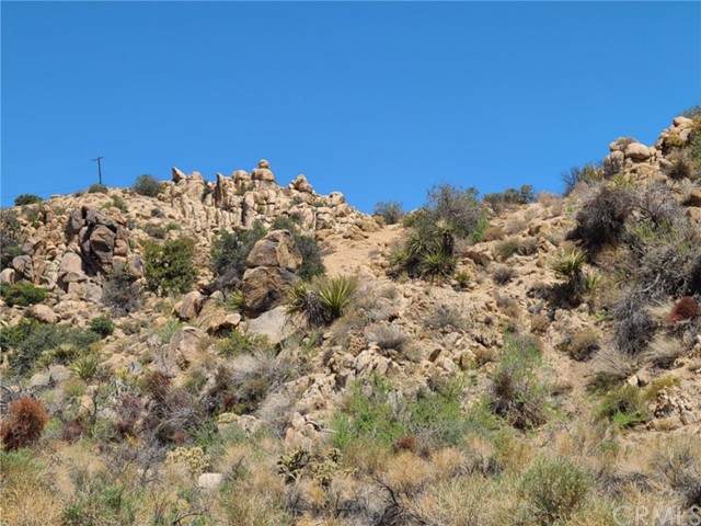 0 Pioneertown Rd - Photo 1