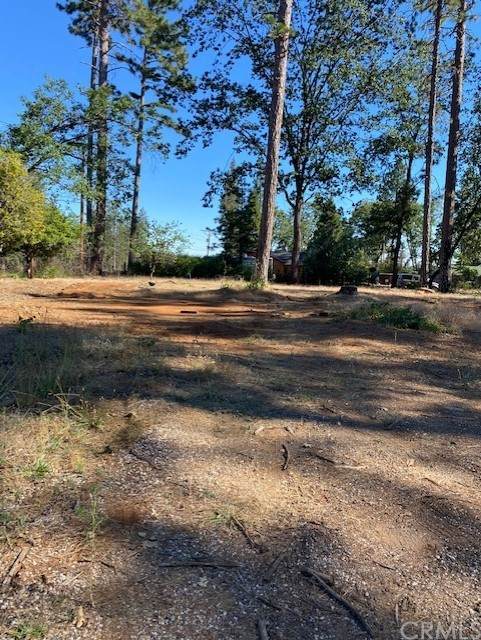 6053 Williams - Photo 1