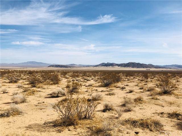 2 Joshua Tree - Photo 1