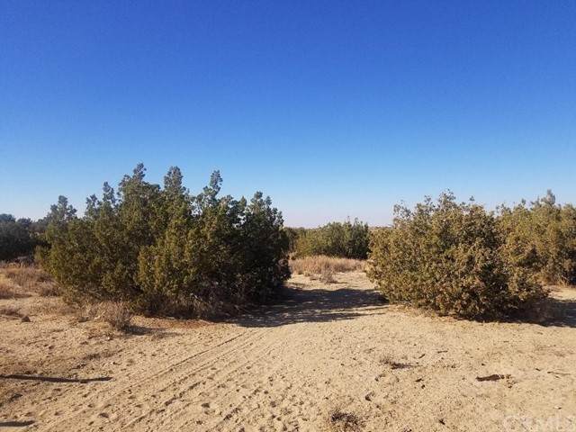 0 125th - Photo 1