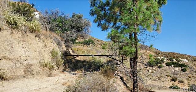 31797 El Cariso Truck Trail - Photo 1