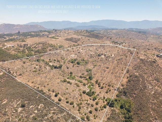 10926 Calle Oro Verde - Photo 1