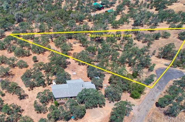 5683 Bear Trap - Photo 1