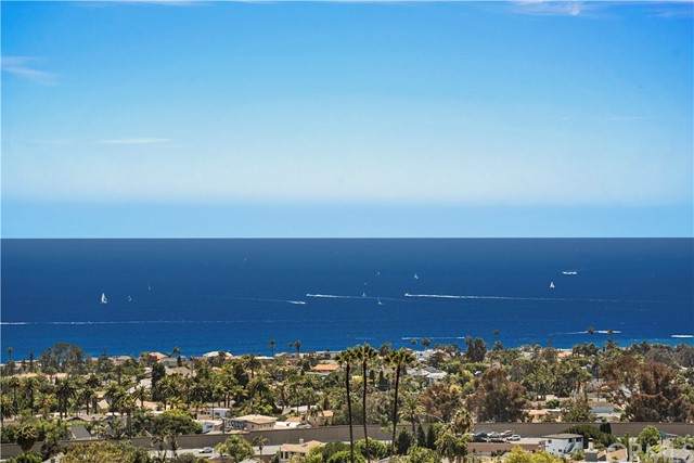 832 Calle Pluma - Photo 1