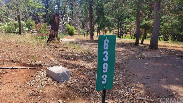 6393 Glendale - Photo 1