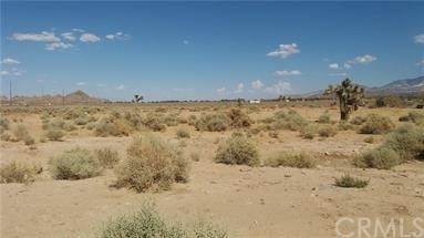 0 Unknown - Photo 1