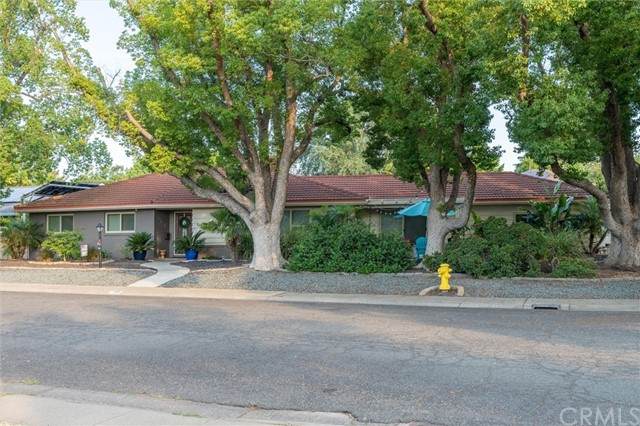 1198 Manchester Road - Photo 1