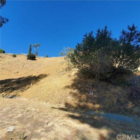 4320 San Blas Ave - Photo 1
