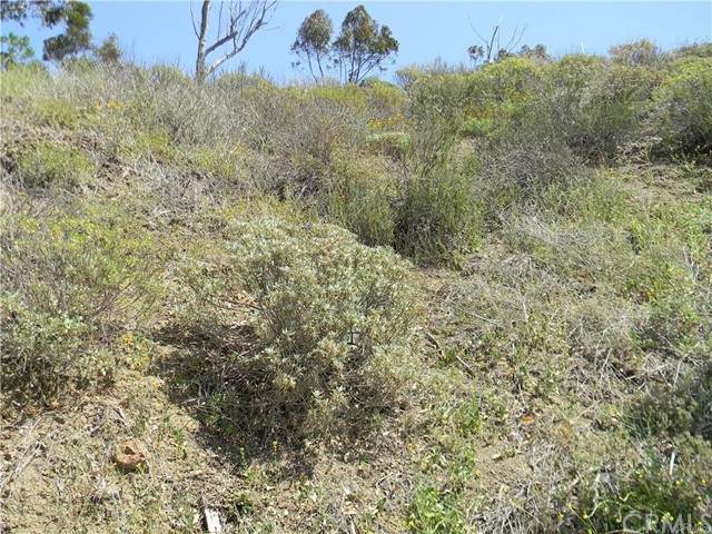 0 Skyline Dr - Photo 1
