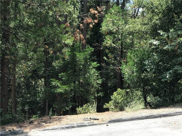 0 Silver Fir Dr - Photo 1