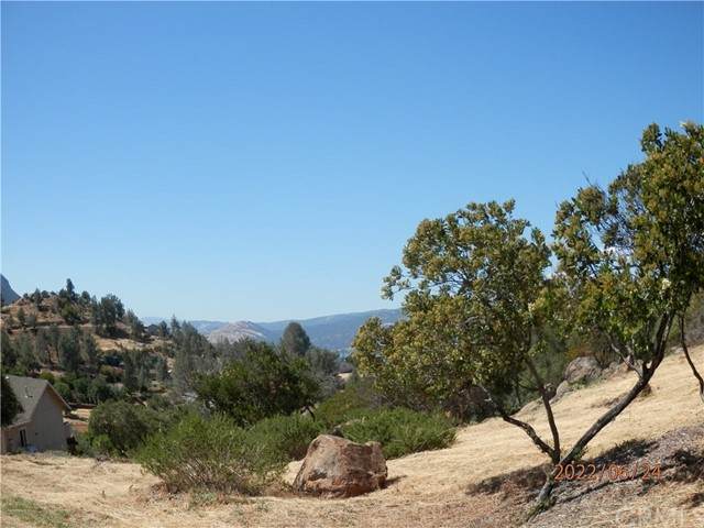 10390 Sunset Ridge - Photo 1