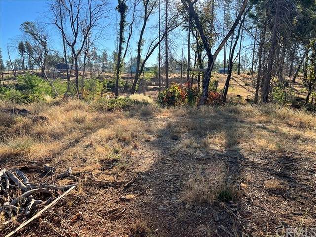 1529 Mor Dell - Photo 1