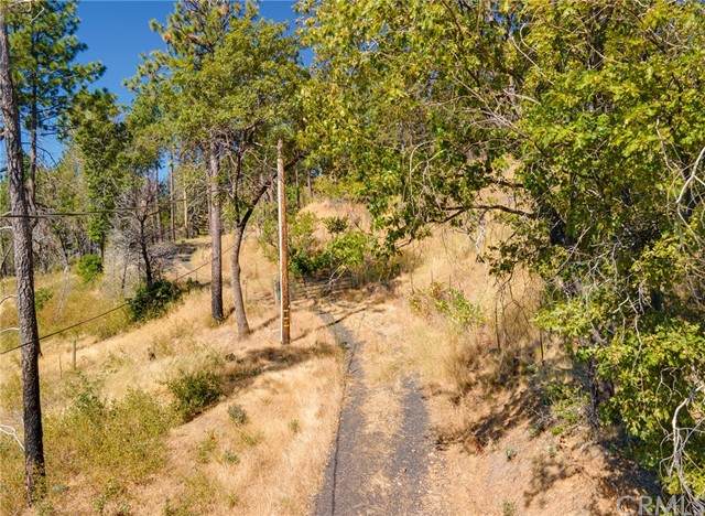 12239 Andy Mountain - Photo 1