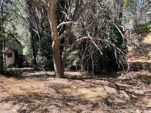 25 Crest Forest - Photo 1