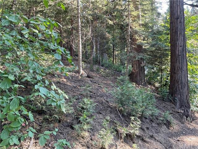 524 Altamont - Photo 1
