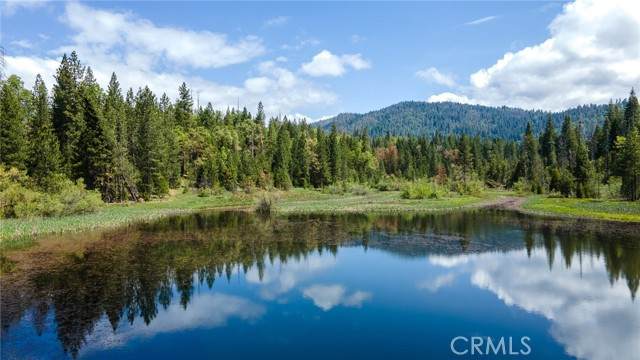 5657 Worman Road - Photo 1