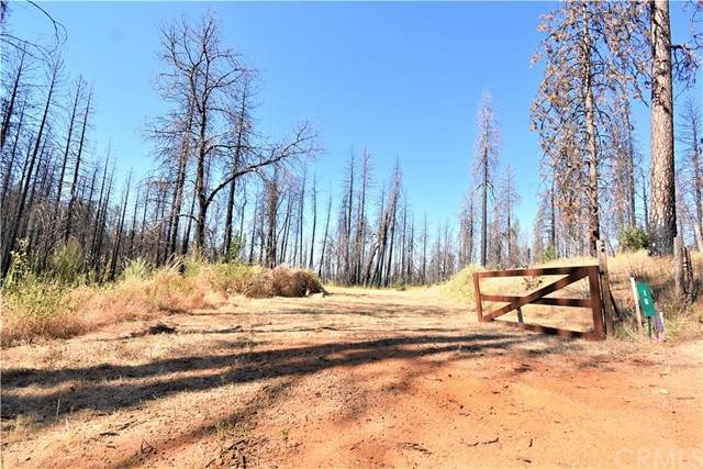 16 Wild Ridge - Photo 1