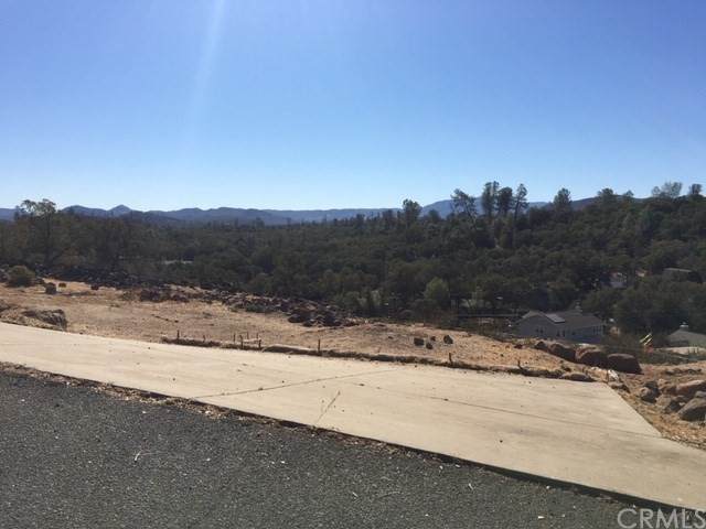 20209 Indian Rock - Photo 1