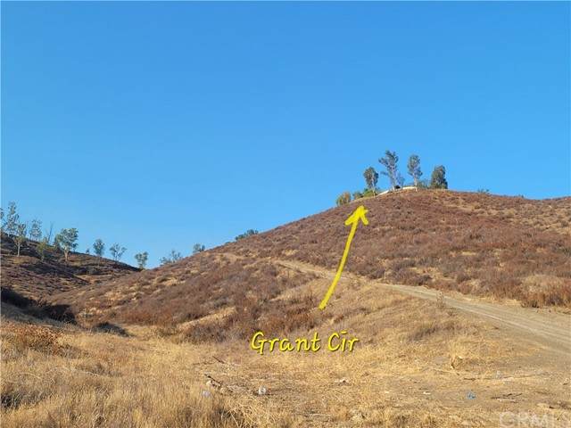 0 Grant - Photo 1