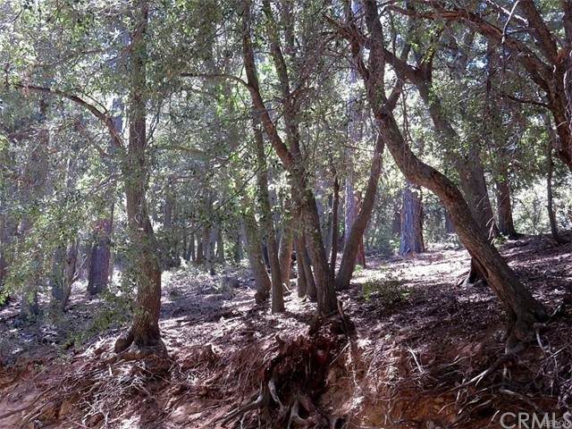 34 Mojave River - Photo 1