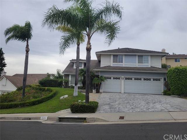 773 Calle Vallarta - Photo 1