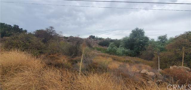 0 Via Liago - Photo 1