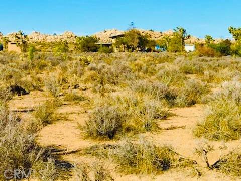 52354 Gamma Gulch Road - Photo 1