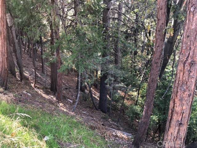 0 Hwy 173 - Photo 1