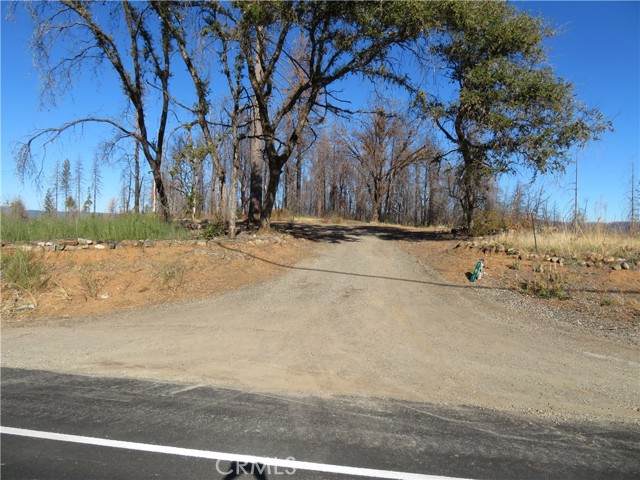 781 Bald Rock - Photo 1