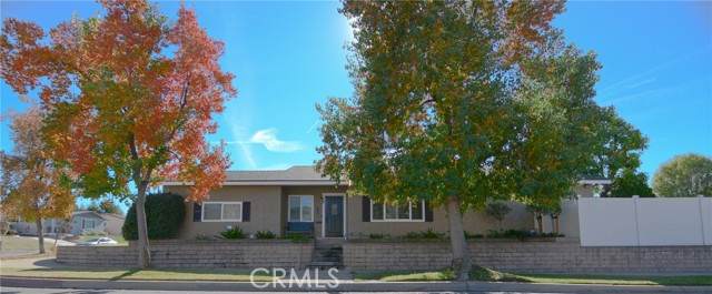 725 Lope Lane - Photo 1