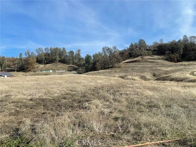6780 Live Oak - Photo 1