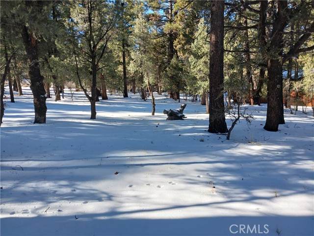 1270 Skyview - Photo 1