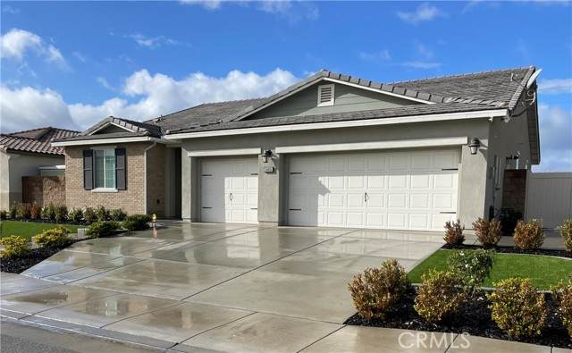 34635 Velvetleaf Street - Photo 1