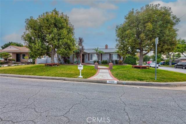 16232 Citrustree Road - Photo 1