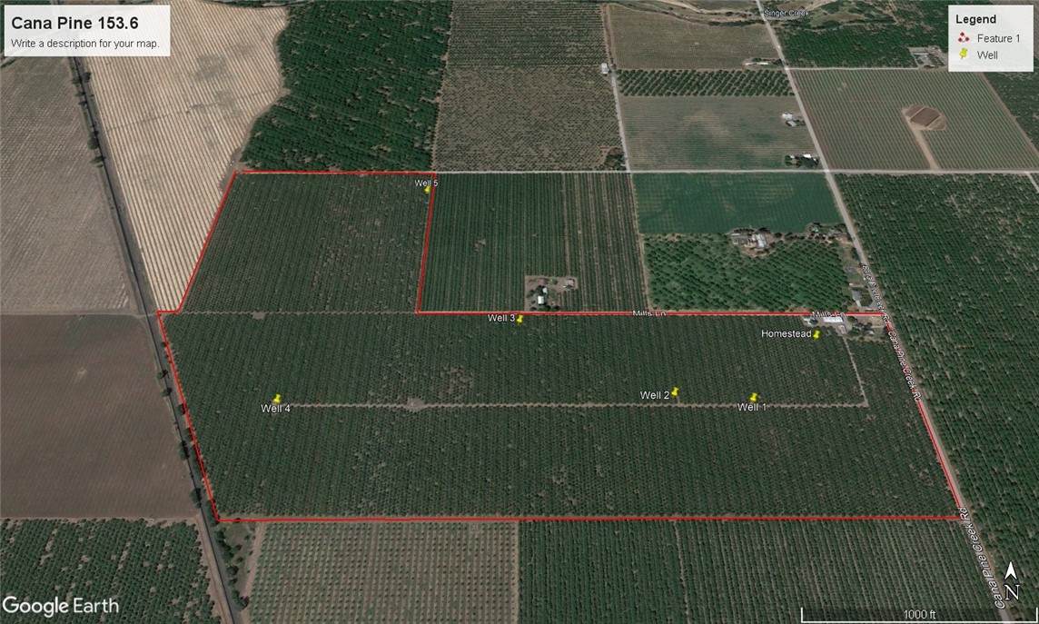 15283 Cana Pine Creek - Photo 1