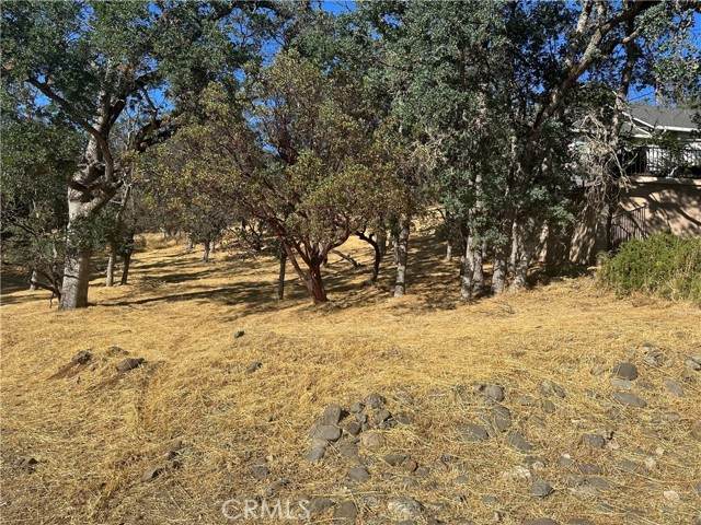 19356 Park Ridge - Photo 1