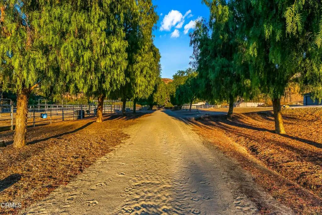 6770 Wheeler Canyon Road - Photo 1