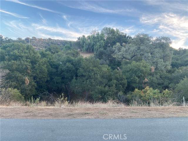 0 Skyline Dr - Photo 1