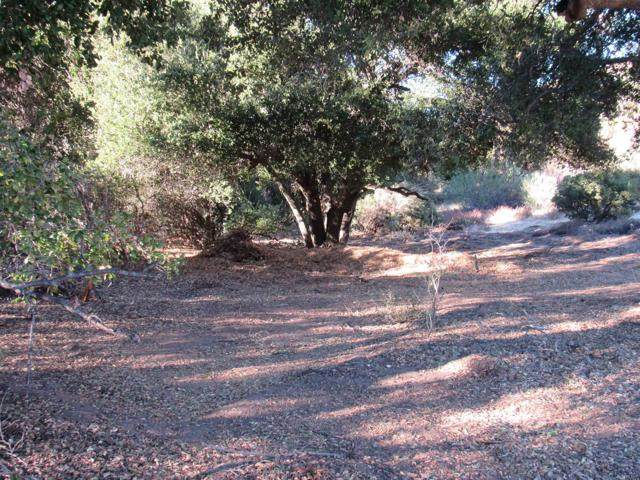 2115 Campo Truck Trail - Photo 1