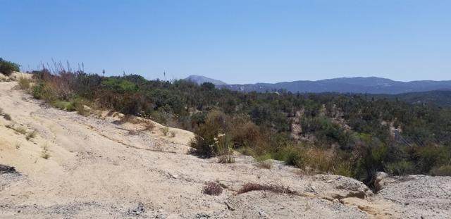 Trail - Photo 1