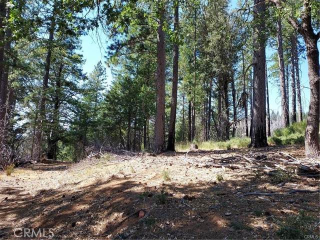 16102 Sugar Pine Ridge - Photo 1