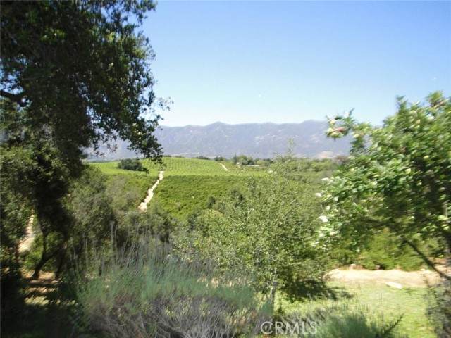 1975 Valley Meadow Drive - Photo 1