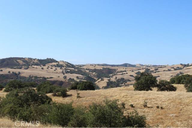 71902 Vineyard Canyon - Photo 1
