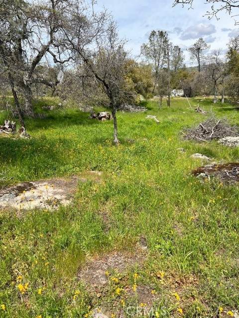 0 John Muir - Photo 1