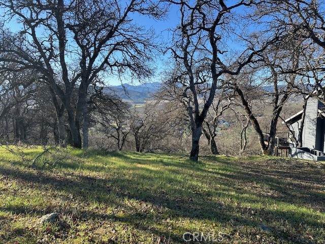 20860 Powder Horn - Photo 1