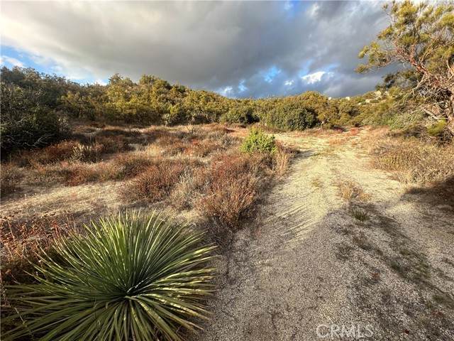 36825 Highway 79 - Photo 1