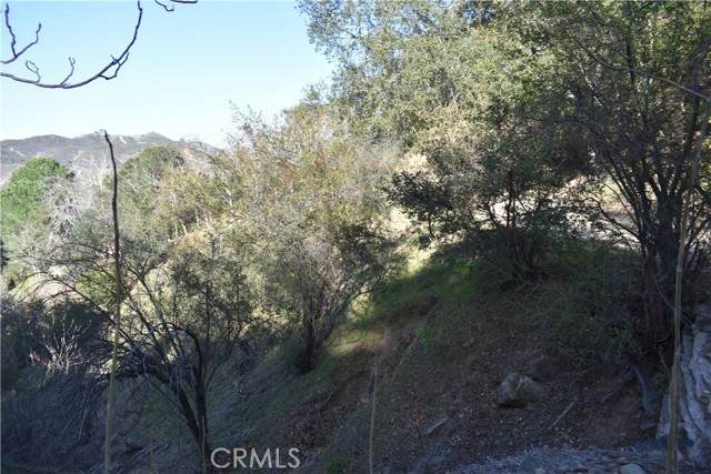 0 Crest Forest Dr - Photo 1