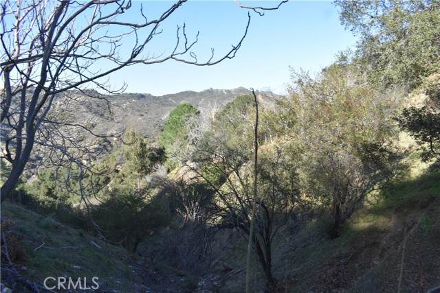 29935 Hickory Dr - Photo 1